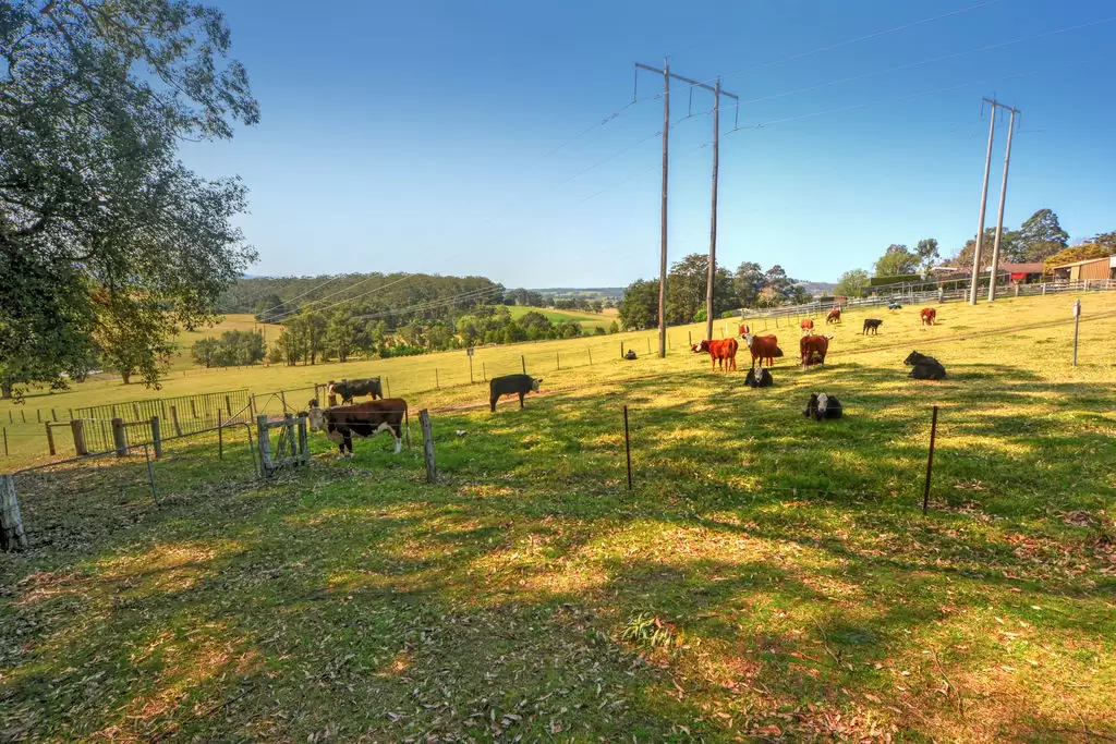 126 Croziers Road, Jaspers Brush Sold by Integrity Real Estate - image 19