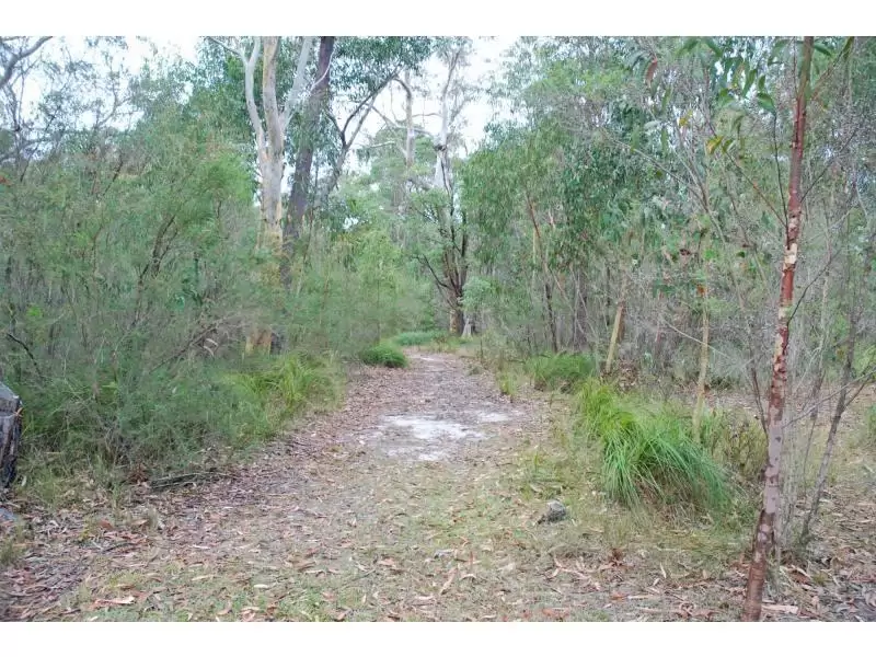 243 Turpentine Road, Tomerong Sold by Integrity Real Estate - image 15