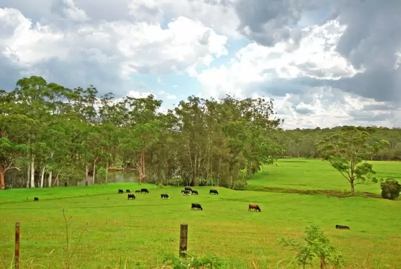 Lot 3,  Princes Highway, Wandandian Sold by Integrity Real Estate - image 4