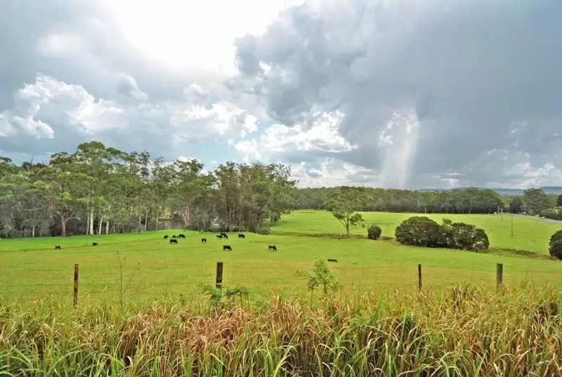Lot 3,  Princes Highway, Wandandian Sold by Integrity Real Estate - image 3