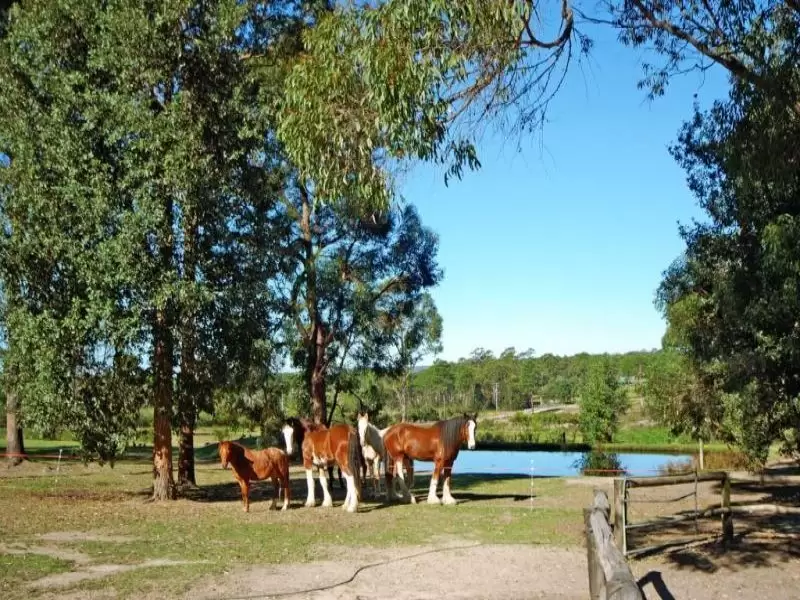 316B Pine Forest Road, Tomerong Sold by Integrity Real Estate - image 3