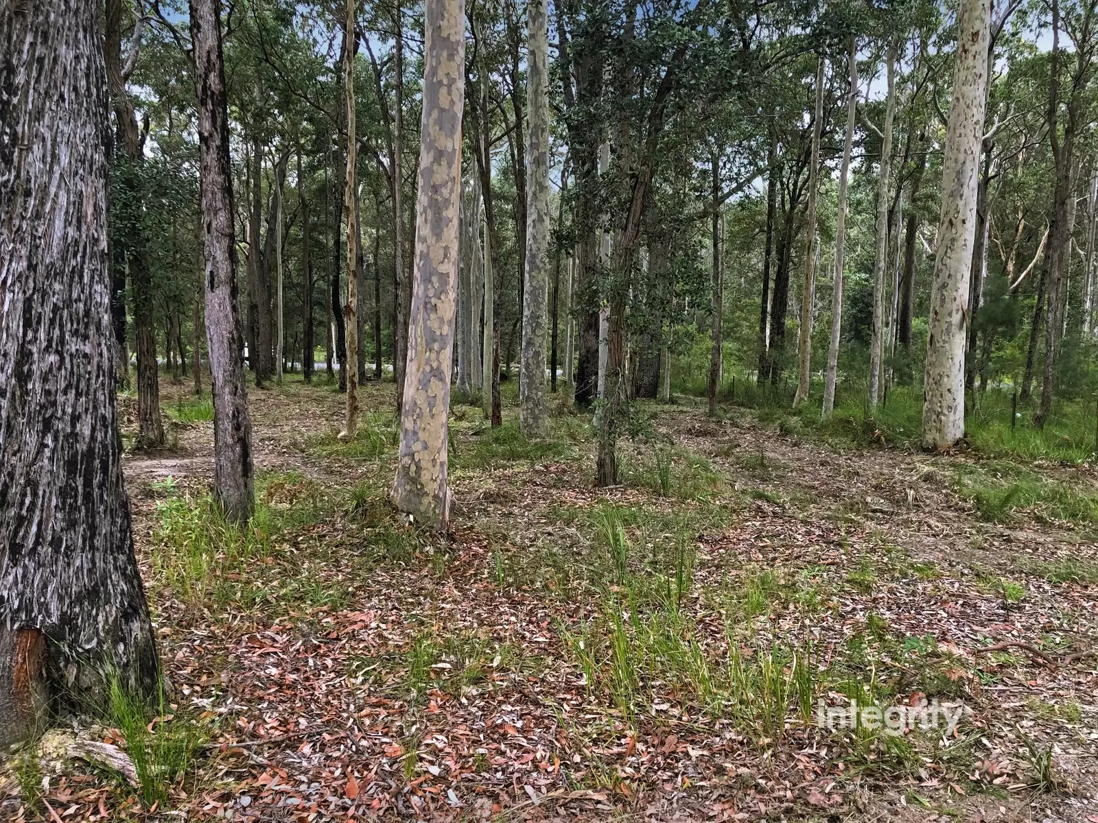 Lot 122,  Inglewood Crescent, Tomerong Sold by Integrity Real Estate - image 5