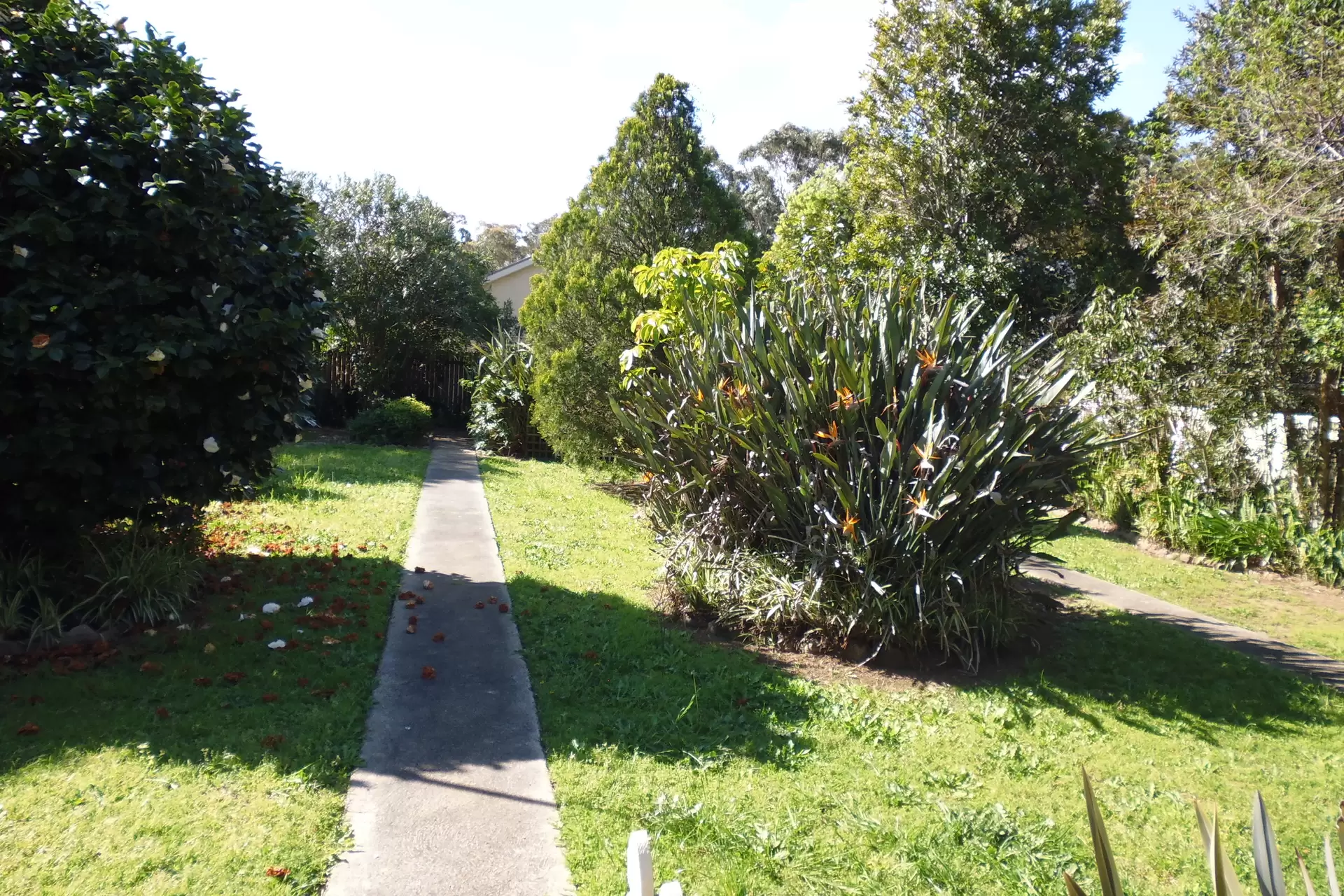 63 Page Avenue, North Nowra Leased by Integrity Real Estate - image 7