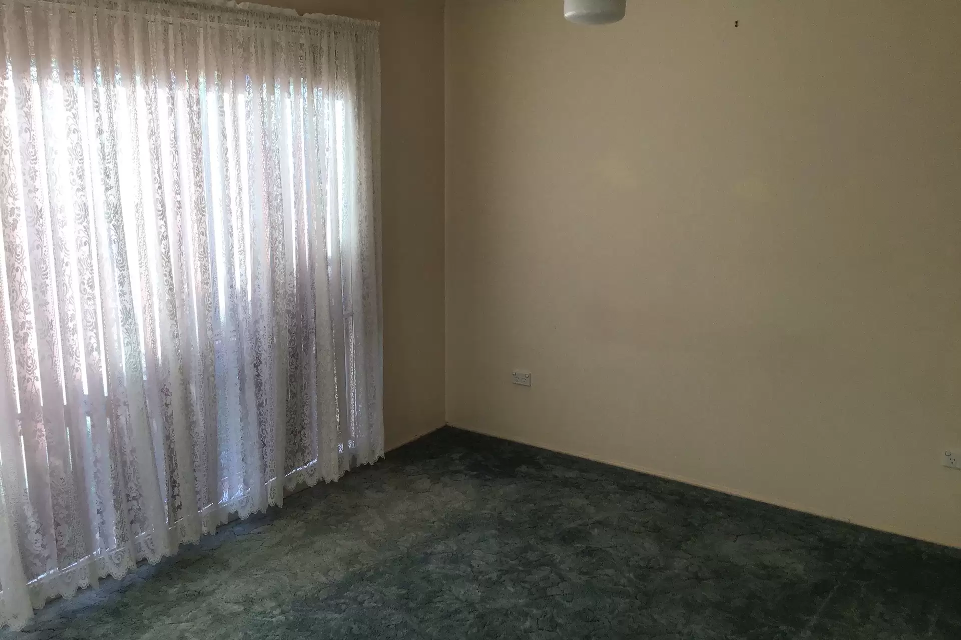33 Eucalyptus Avenue, Worrigee Leased by Integrity Real Estate - image 5