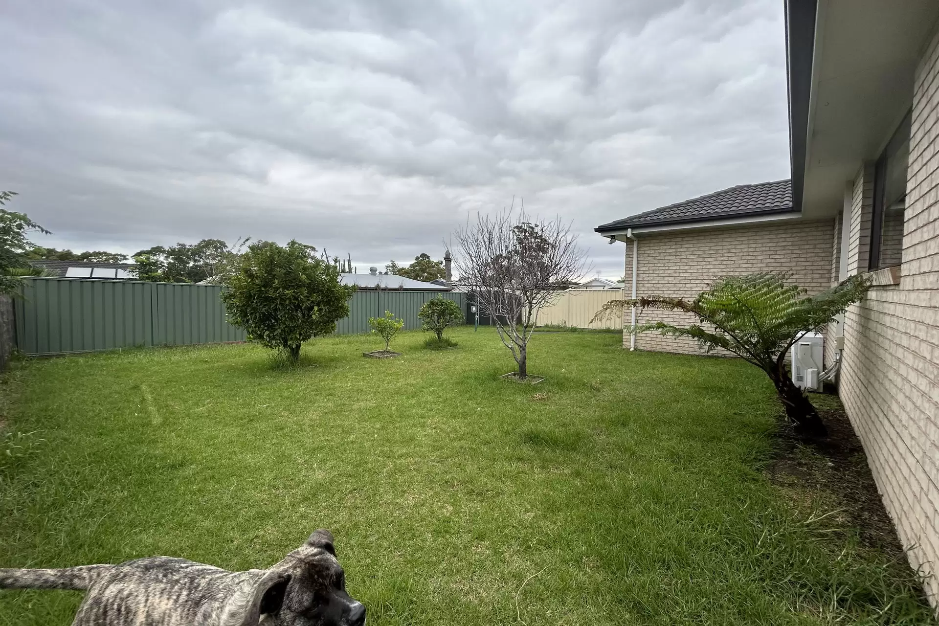 100 Cammaray Drive, Sanctuary Point Leased by Integrity Real Estate - image 12