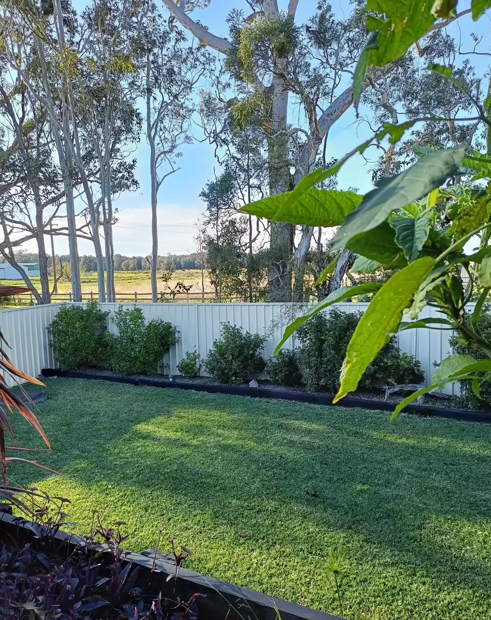 13 Coral Gum Court, Worrigee Sold by Integrity Real Estate - image 14