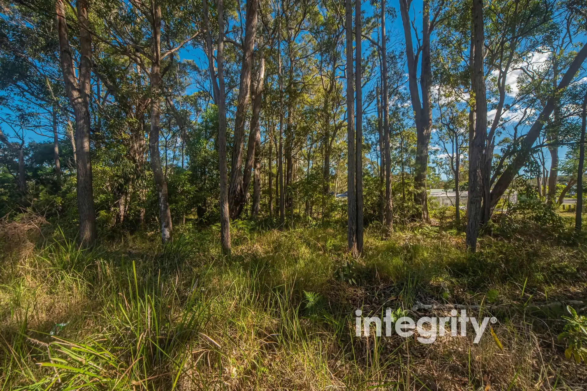 56 Emmett Street, Callala Bay For Sale by Integrity Real Estate - image 6