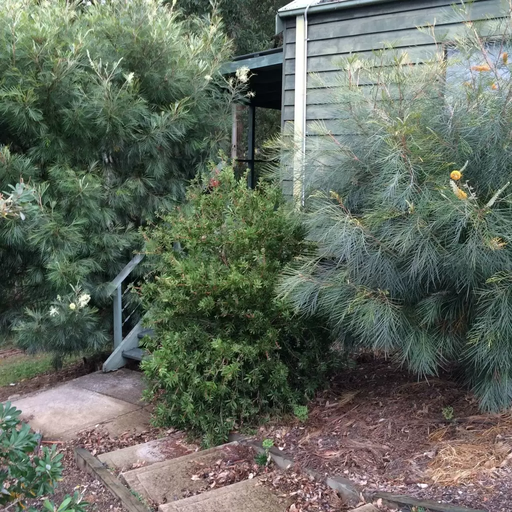 390 Mount Scanzi Road, Kangaroo Valley Sold by Integrity Real Estate